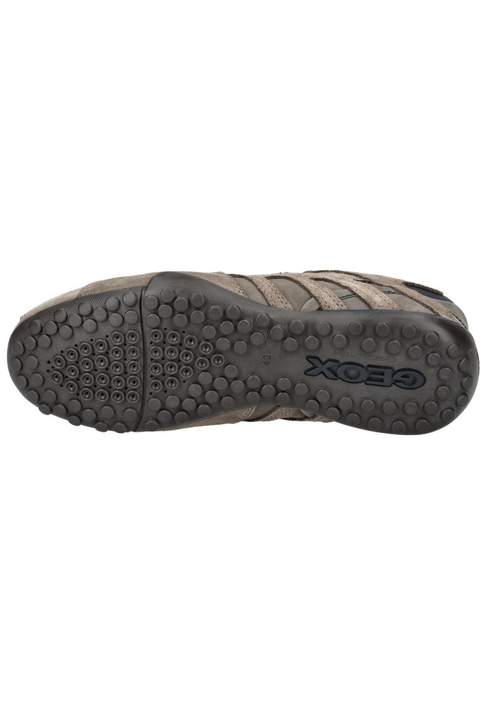 Geox Sneaker Veolurs/Textil/Synthetik Braun/Grau