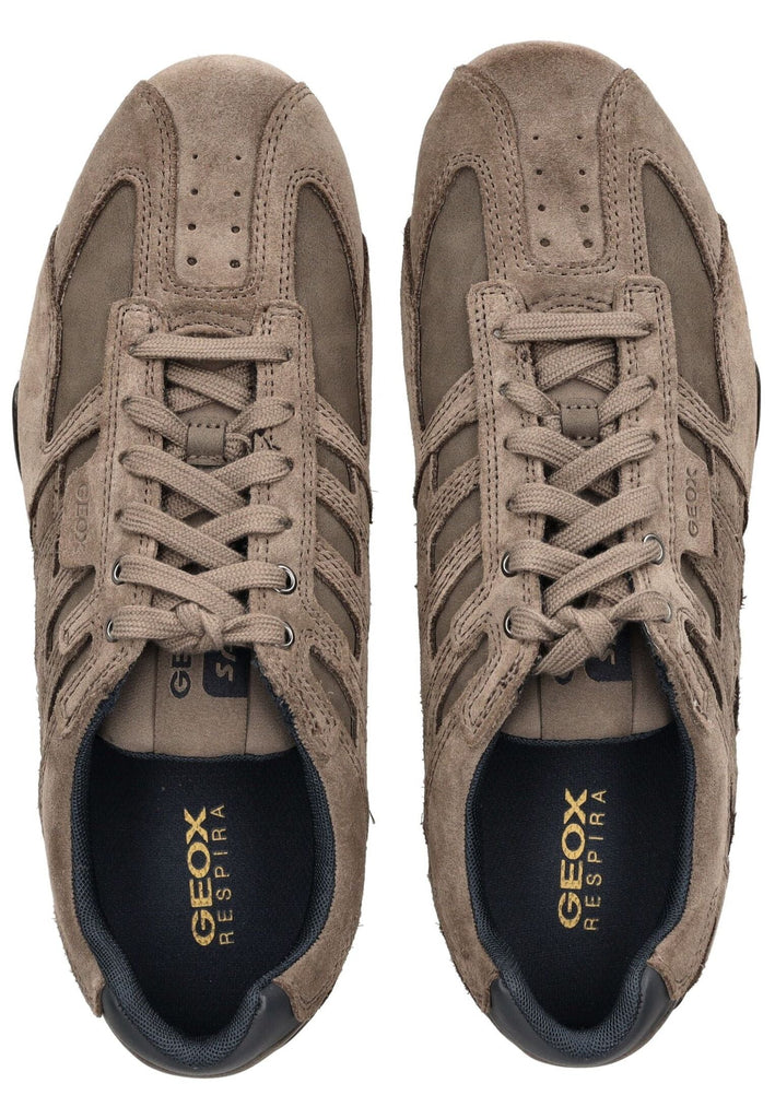 Geox Sneaker Veolurs/Textil/Synthetik Braun/Grau