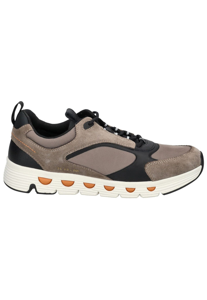 Geox Sneaker Veolurs/Textil/Synthetik Grau/Schwarz