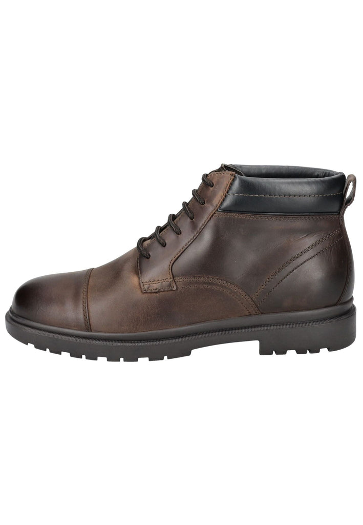 Geox Stiefelette Leder/Synthetik Coffee