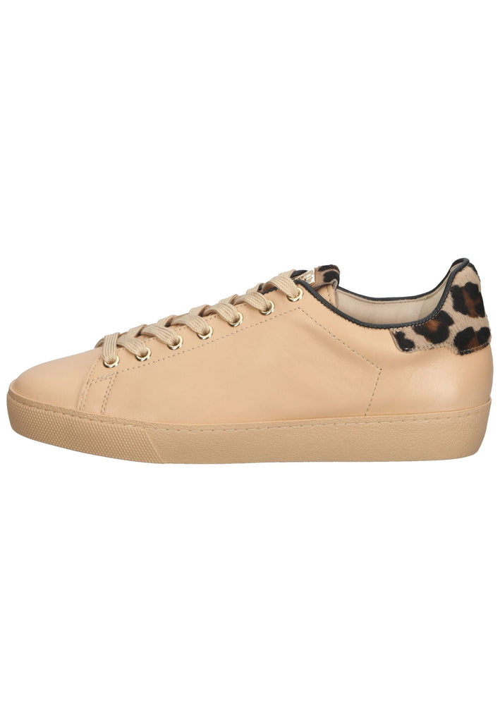Sneaker Högl Sneaker Leder Sand