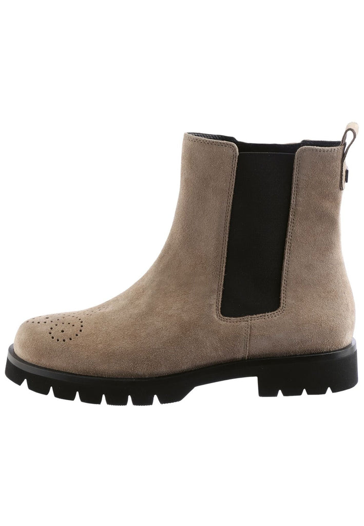 Stiefeletten Högl Stiefelette Veloursleder/Textil Taupe