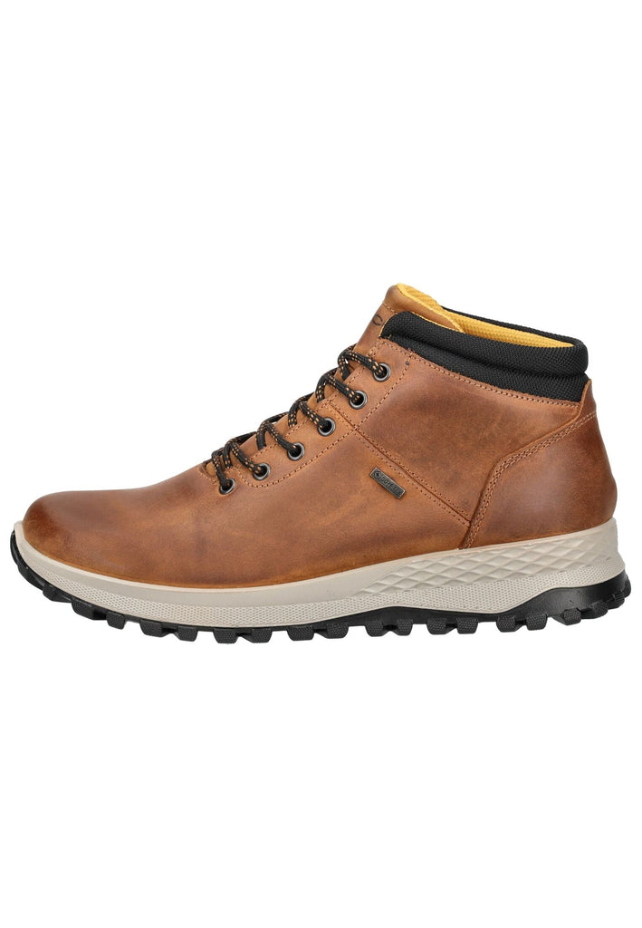 Stiefeletten IGI&CO Stiefelette Leder Braun
