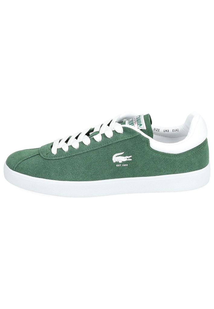 Lacoste Sneaker Leder/Textil Grün/Kombi