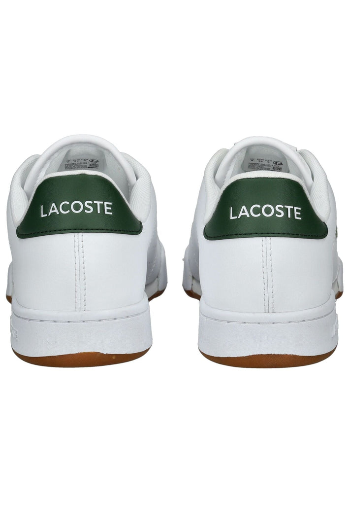 Lacoste Sneaker Leder/Textil Weiß/Grün