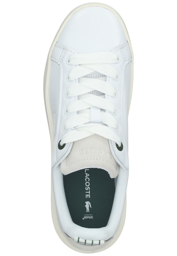 Lacoste Sneaker Leder Weiß
