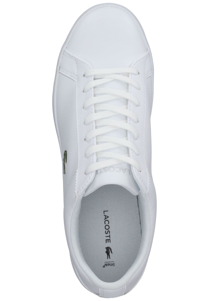 Lacoste Sneaker Leder Weiß