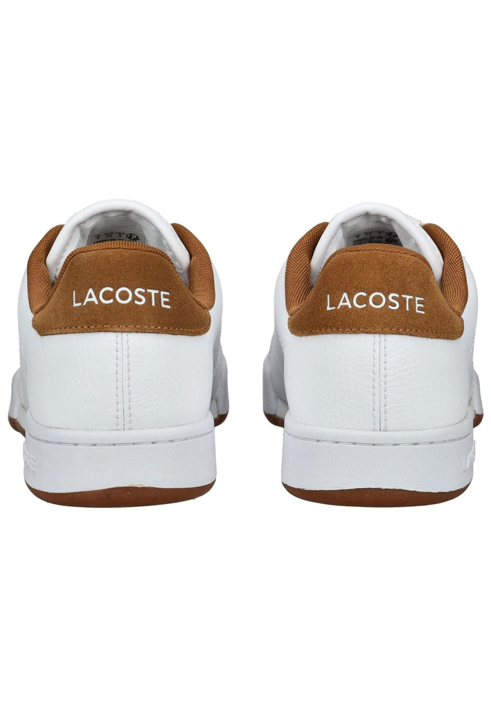 Lacoste Sneaker Leder Weiß/Braun