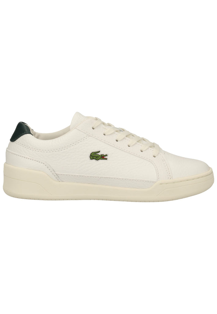 Lacoste Sneaker Leder Weiß/Grün