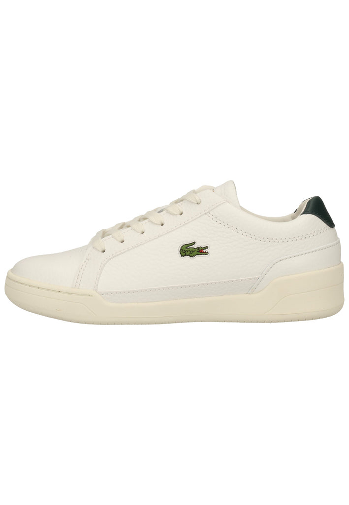 Lacoste Sneaker Leder Weiß/Grün