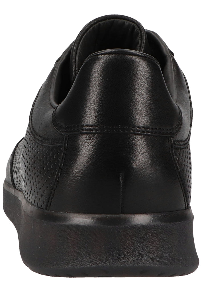 Lloyd Sneaker Glattleder Schwarz