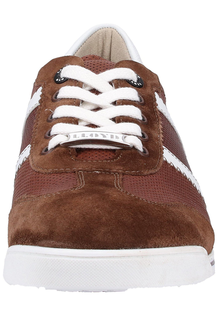 Lloyd Sneaker Leder Cigar