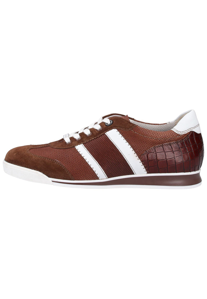 Lloyd Sneaker Leder Cigar