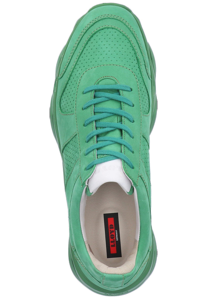 Lloyd Sneaker Leder Grün