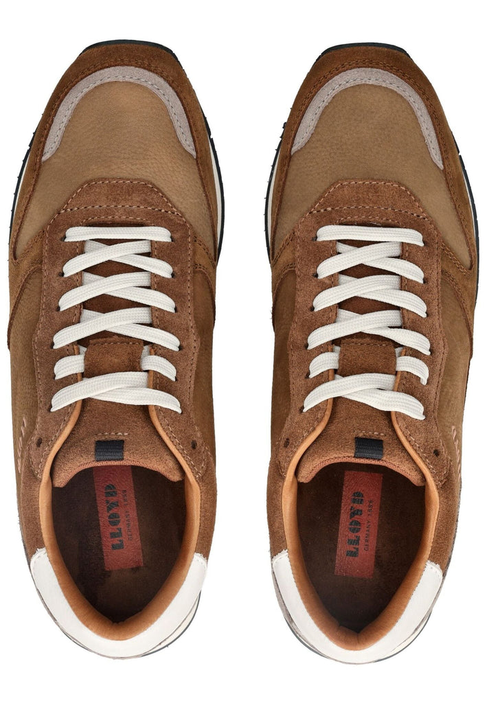 Lloyd Sneaker Leder Wood