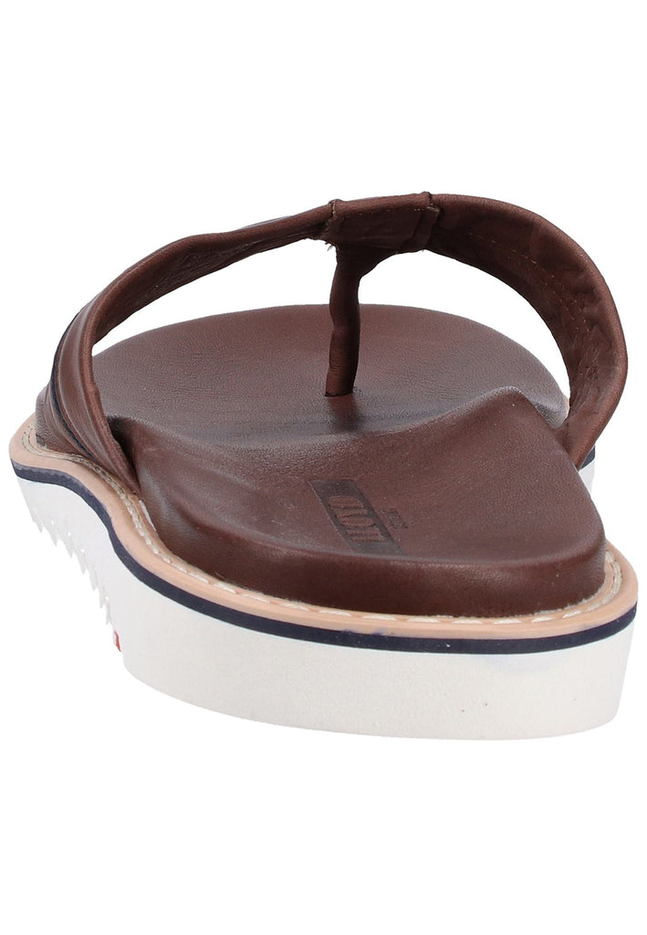 Lloyd Zehensteg Glattleder Kaffee