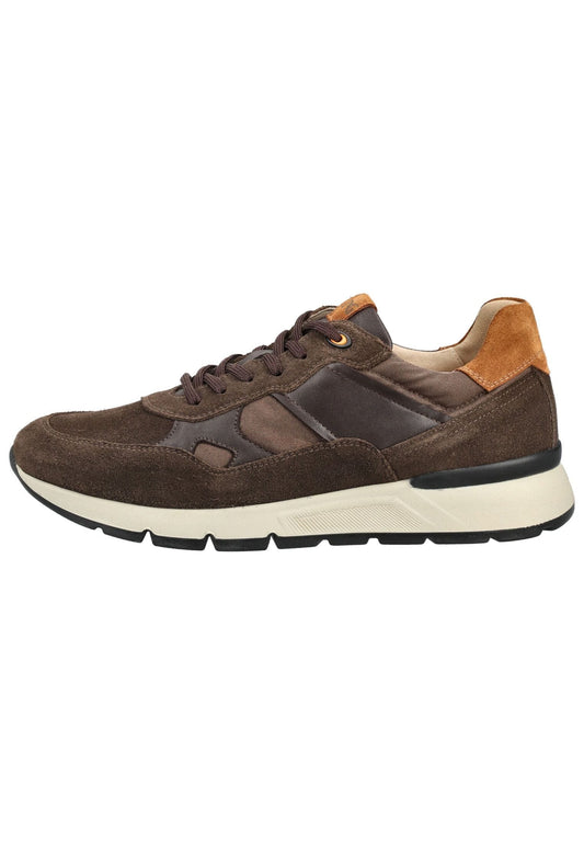 Nero Giardini Sneaker Leder/Synthetik Dunkelbraun