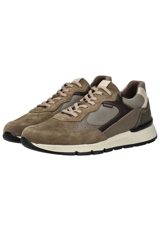 Nero Giardini Sneaker Leder/Textil Fango