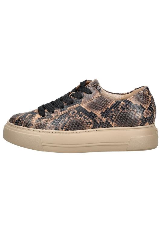 Paul Green Sneaker Glattleder Braun