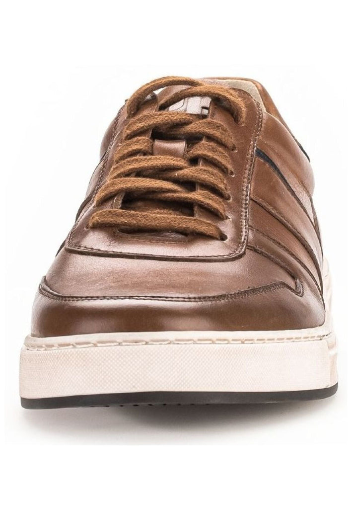 Pius Gabor Sneaker Leder Cognac