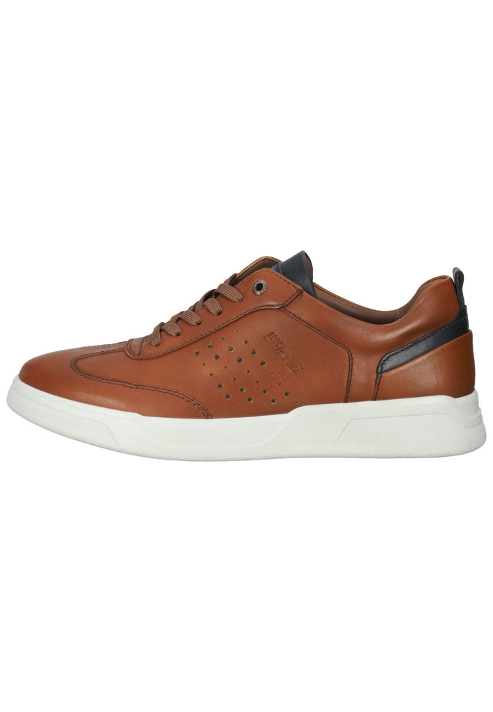 Sneaker Salamander Sneaker Glattleder Braun/Blau