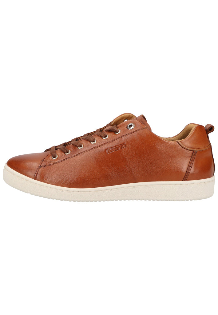 Sneaker Salamander Sneaker Leder Cognac