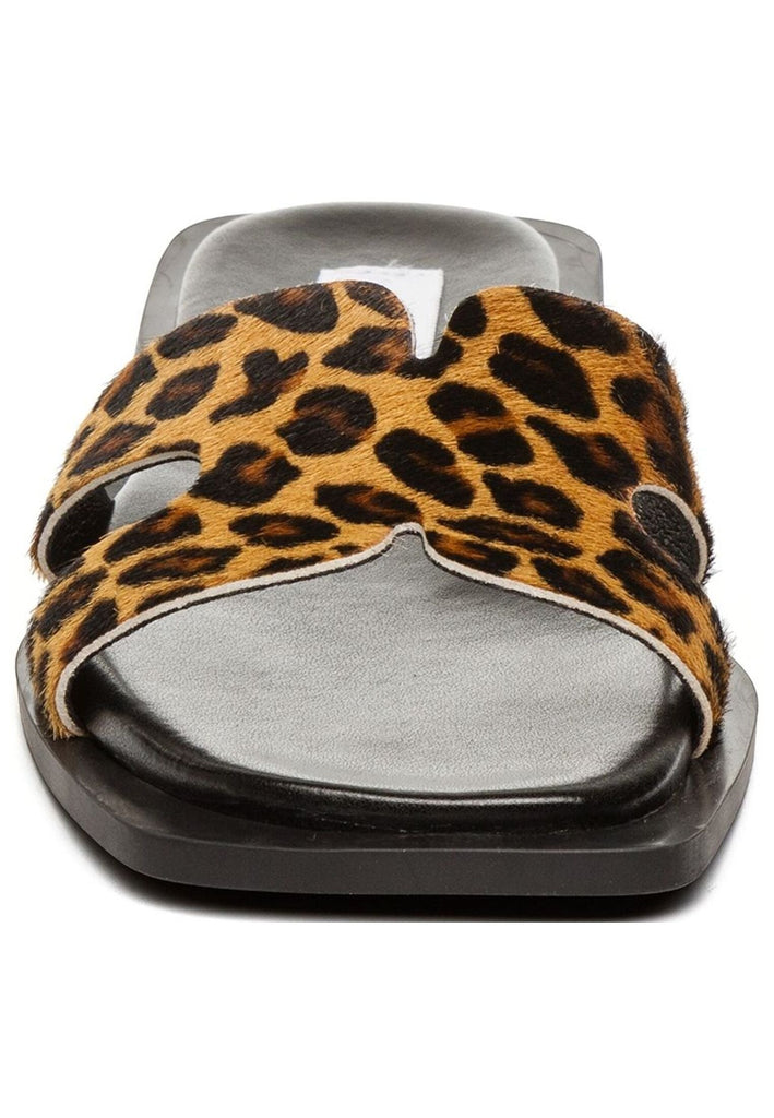 Steve Madden Pantoletten Leder Leopard