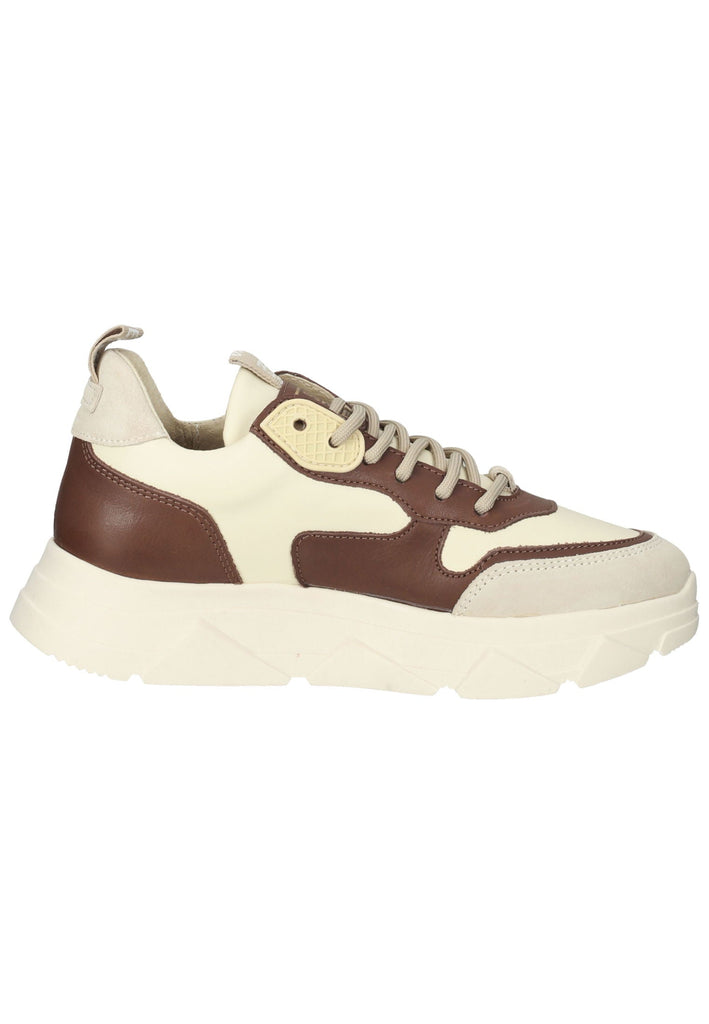 Steve Madden Sneaker Leder Beige/Braun