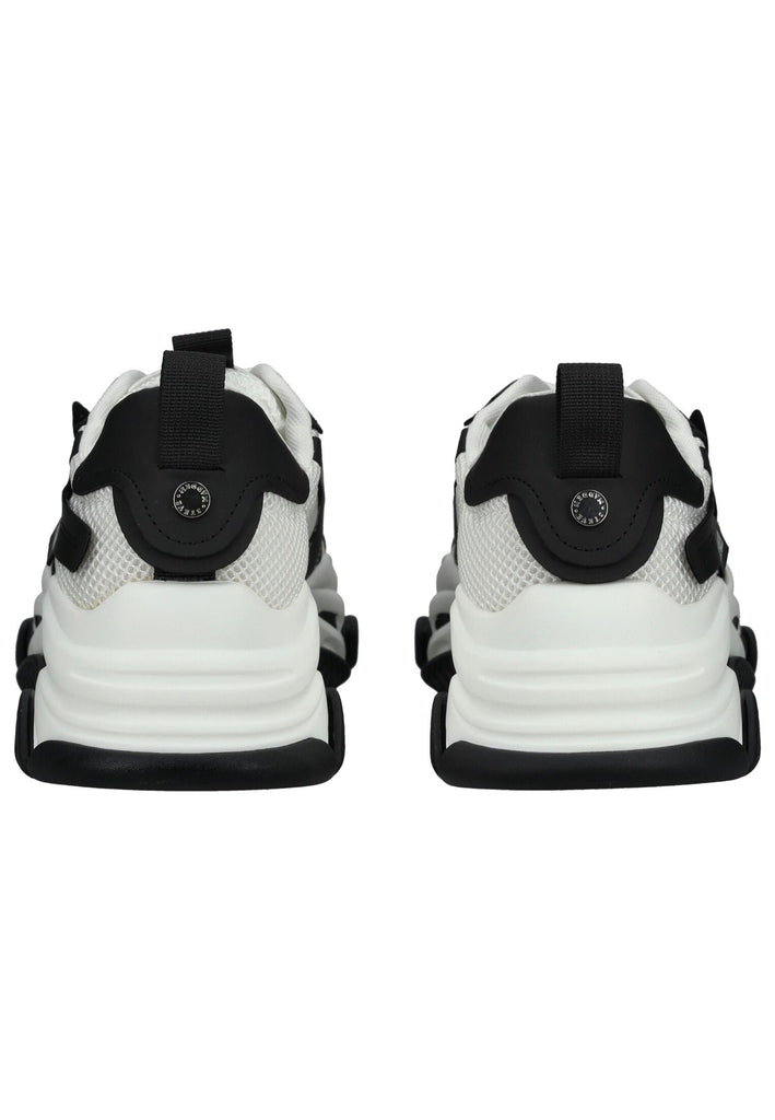 Steve Madden Sneaker Lederimitat/Textil Schwarz/Weiß