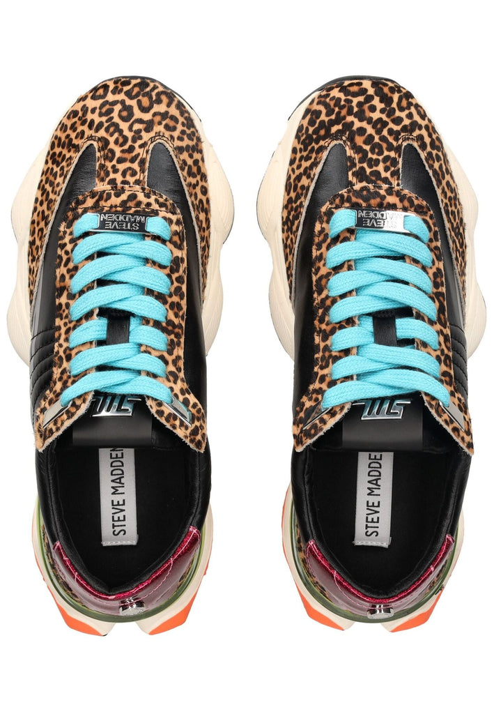 Steve Madden Sneaker Veloursleder/Synthetik Leopard