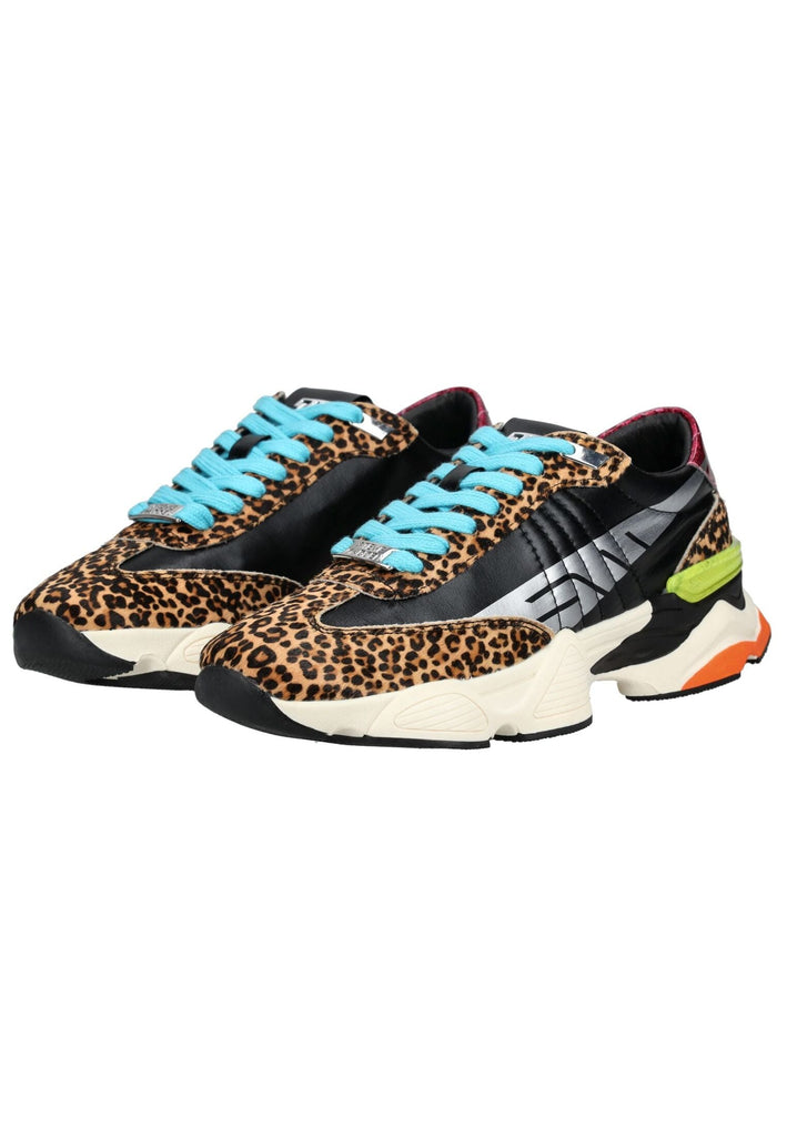Steve Madden Sneaker Veloursleder/Synthetik Leopard