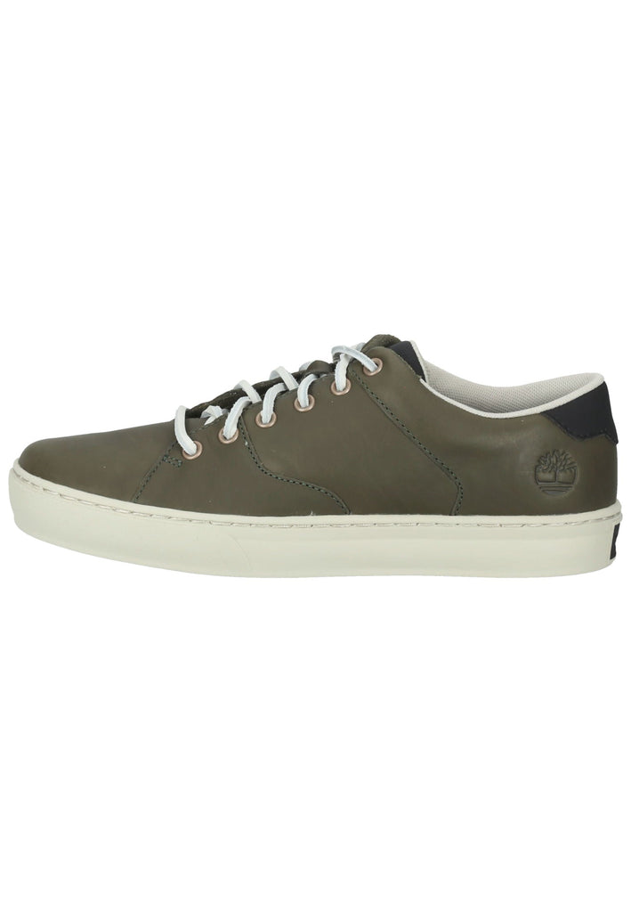 Sneaker Timberland Sneaker Leder Dunkelgrün