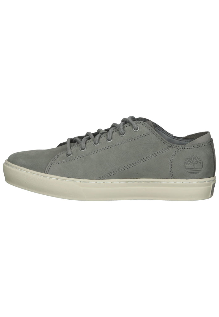 Sneaker Timberland Sneaker Leder Grau
