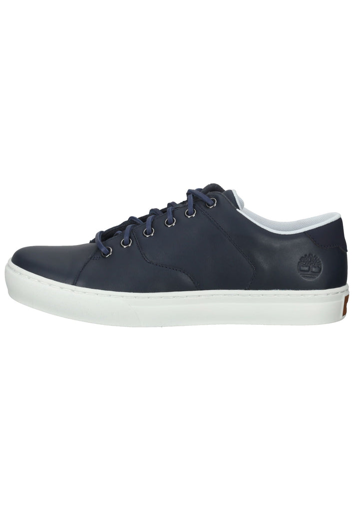 Sneaker Timberland Sneaker Leder Schwarz