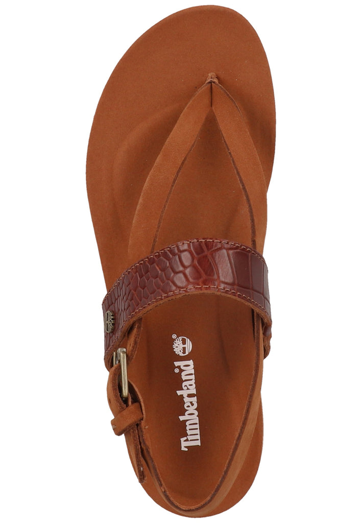 Timberland Zehensteg Leder Braun